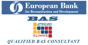 Qualified BAS Consultant